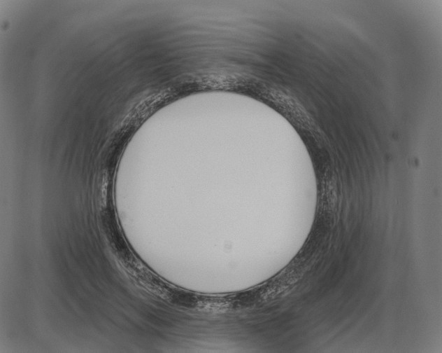 X0000083990694200703161623