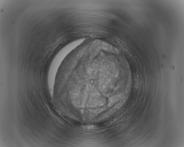 X0000083990695200703161623