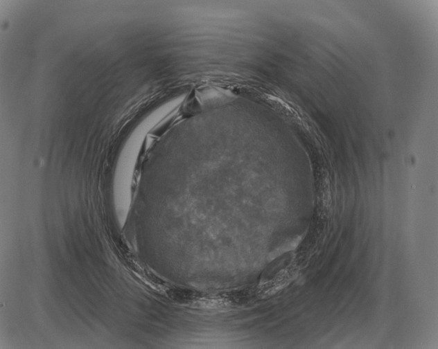 X0000083990696200703161623