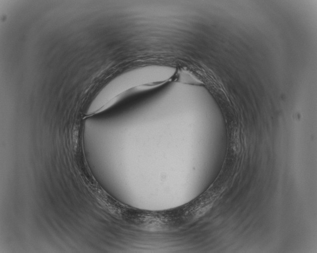 X0000083990697200703161623