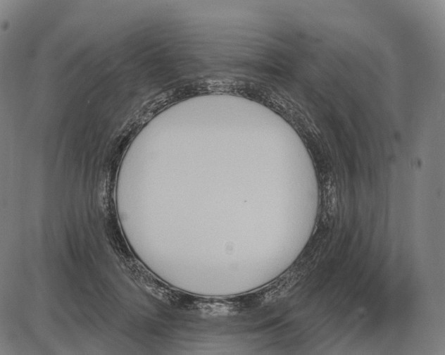 X0000083990698200703161623