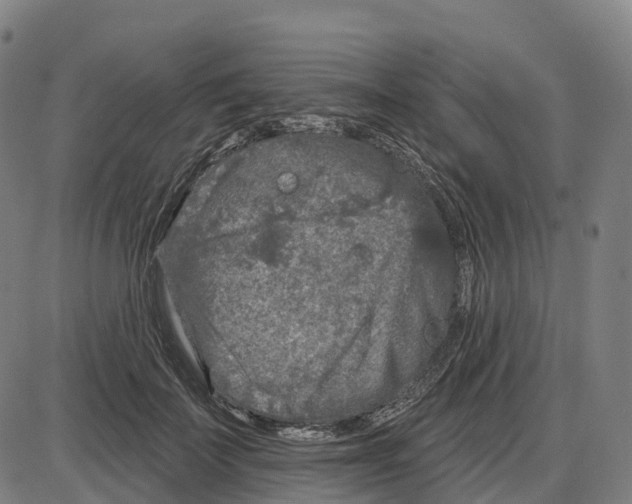 X0000083990699200703161623