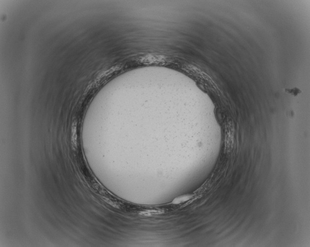 X0000083990700200703161623