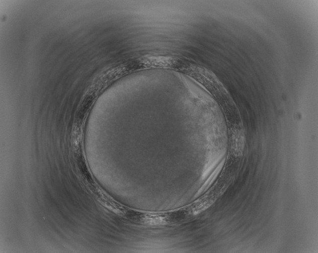 X0000083990701200703161623