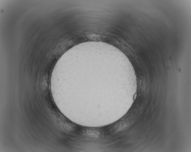 X0000083990702200703161623