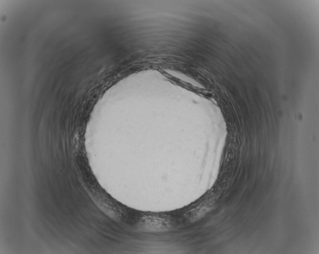 X0000083990703200703161623