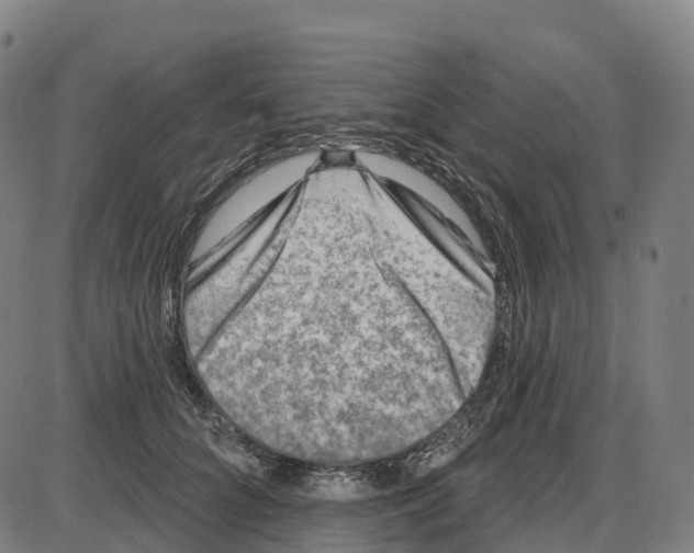 X0000083990704200703161623