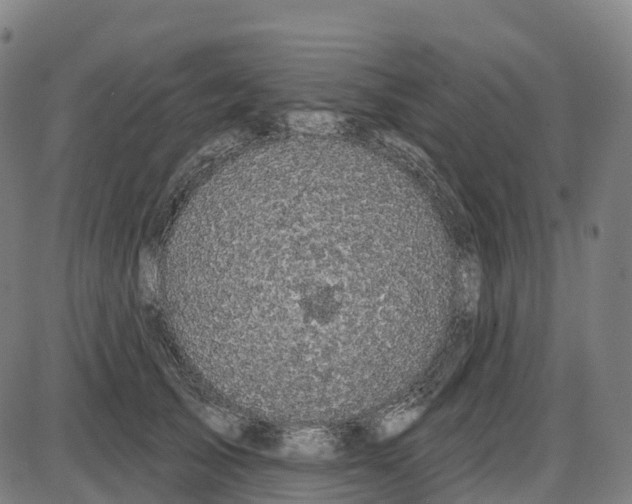 X0000083990705200703161623