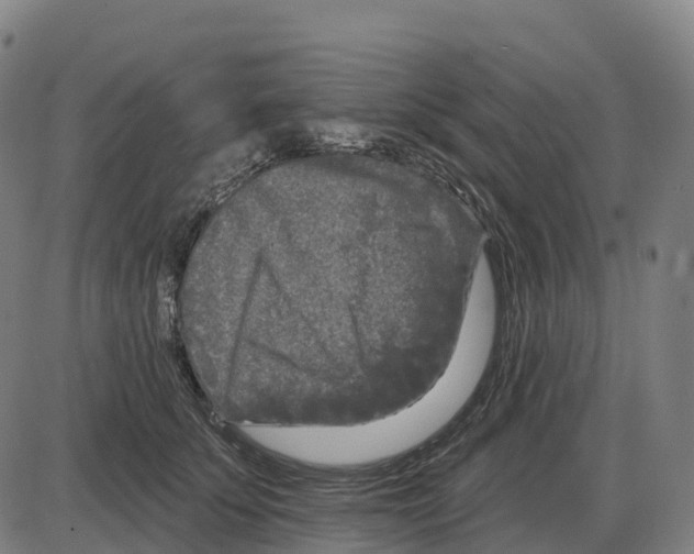 X0000083990707200703161623