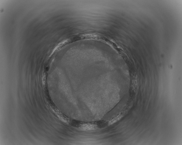 X0000083990708200703161623