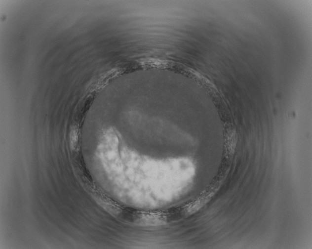 X0000083990709200703161623