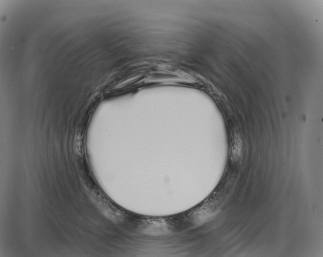 X0000083990715200703161623