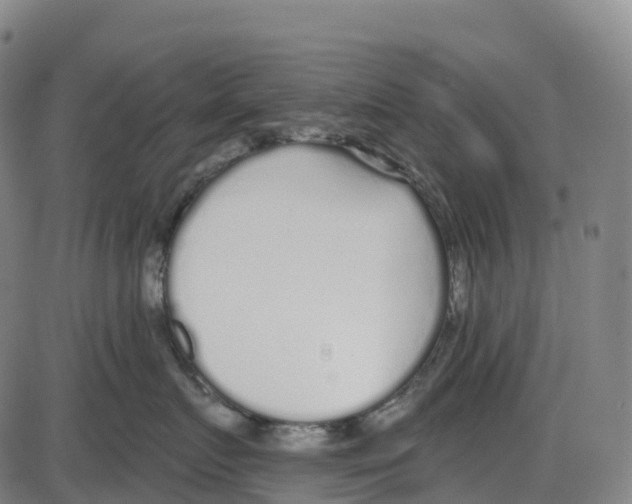 X0000083990719200703161623