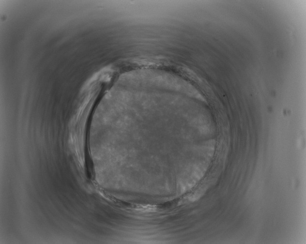 X0000083990720200703161623