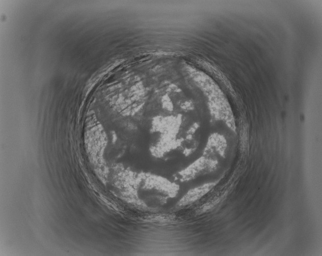 X0000083990721200703161622