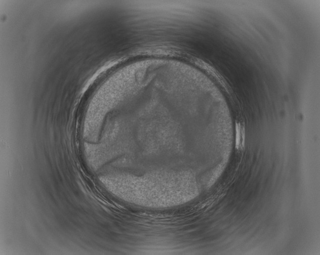 X0000083990723200703161622