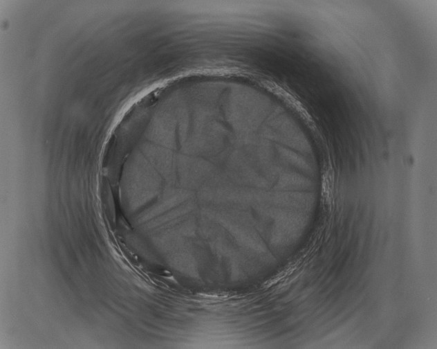 X0000083990724200703161622