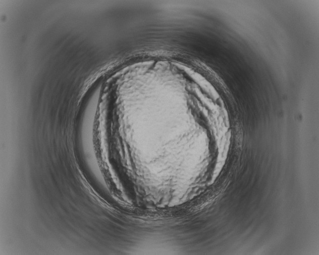 X0000083990725200703161622