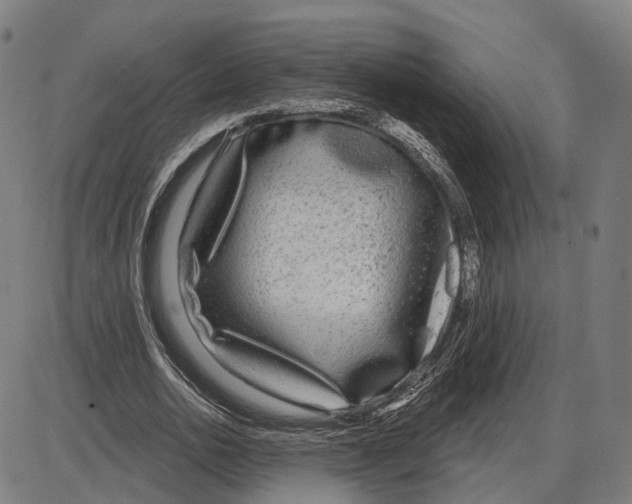 X0000083990726200703161622