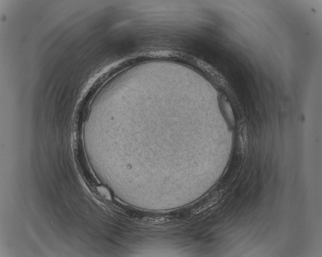 X0000083990728200703161622