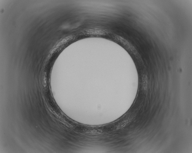 X0000083990731200703161622