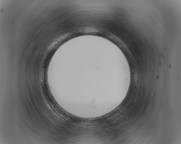 X0000083990732200703161622