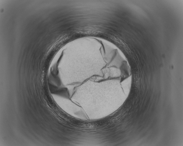 X0000083990735200703161622