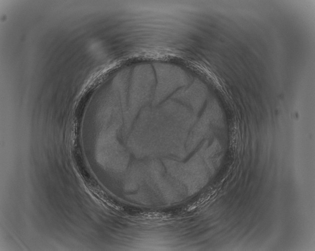 X0000083990736200703161622