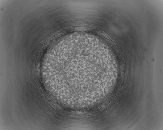 X0000083990737200703161622