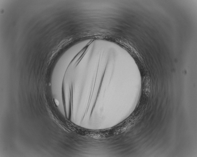 X0000083990738200703161622