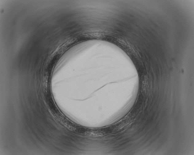 X0000083990739200703161622