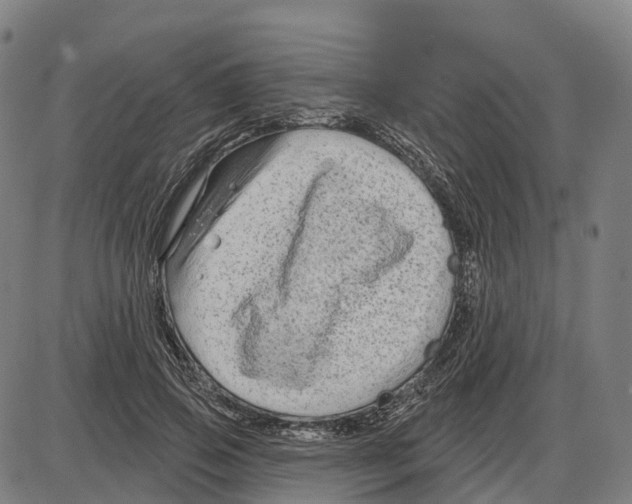 X0000083990741200703161622