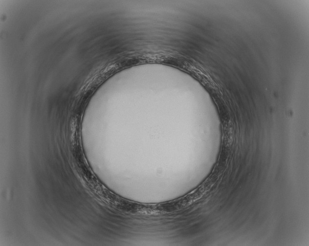 X0000083990742200703161622