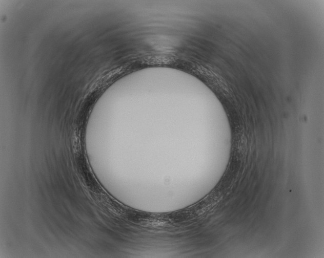 X0000083990743200703161622