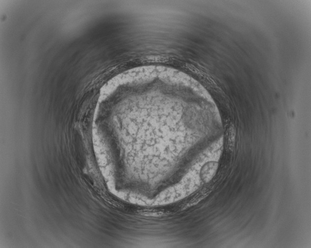 X0000083990746200703161622