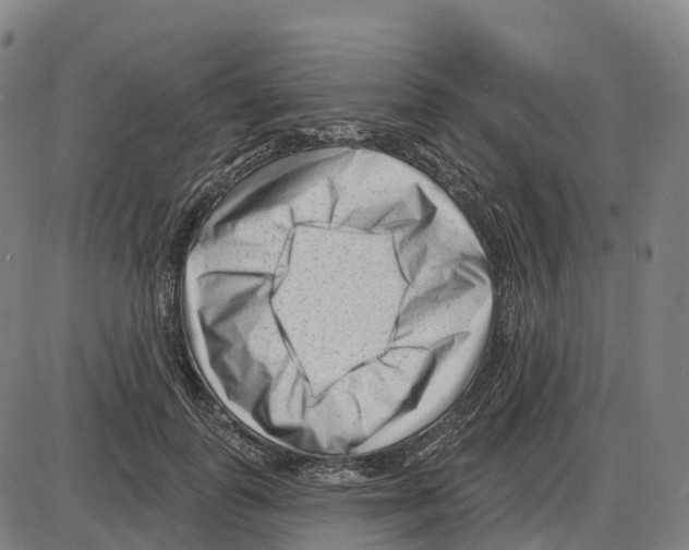 X0000083990747200703161622