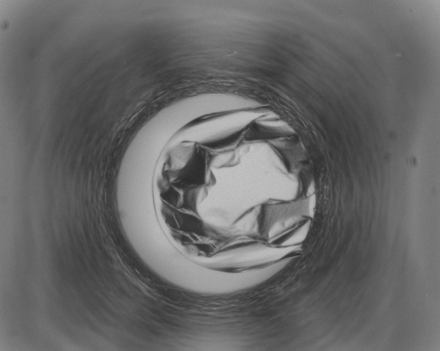 X0000083990750200703161622