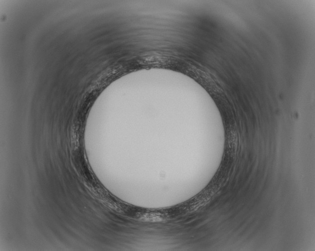 X0000083990751200703161622