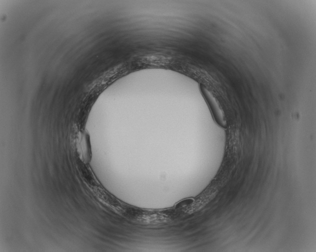 X0000083990752200703161622