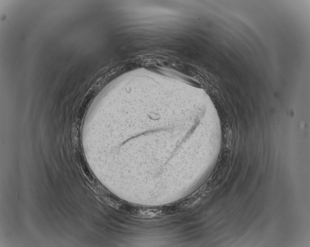 X0000083990753200703161622