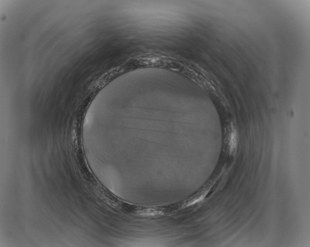 X0000083990754200703161622