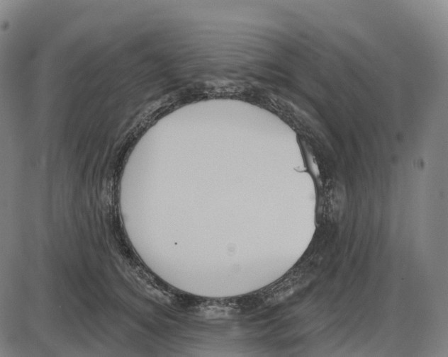 X0000083990756200703161622