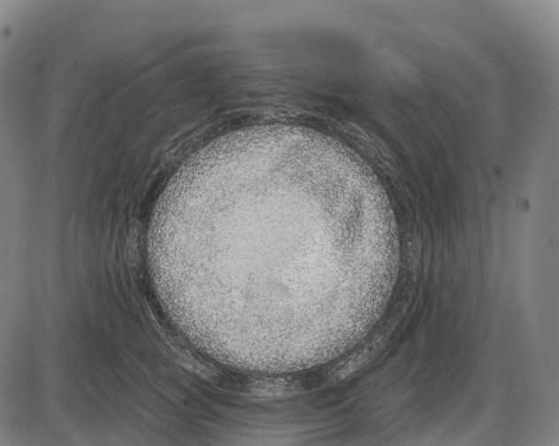 X0000083990757200703161622