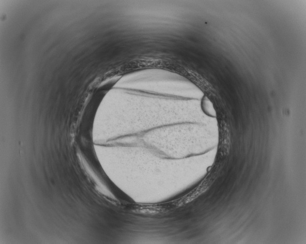 X0000083990758200703161622