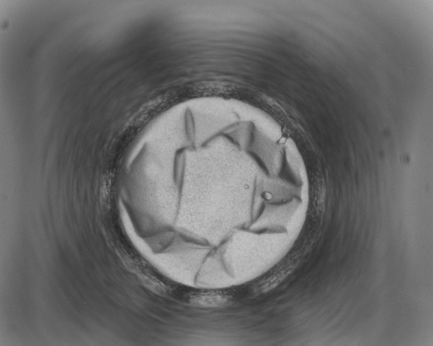 X0000083990759200703161622