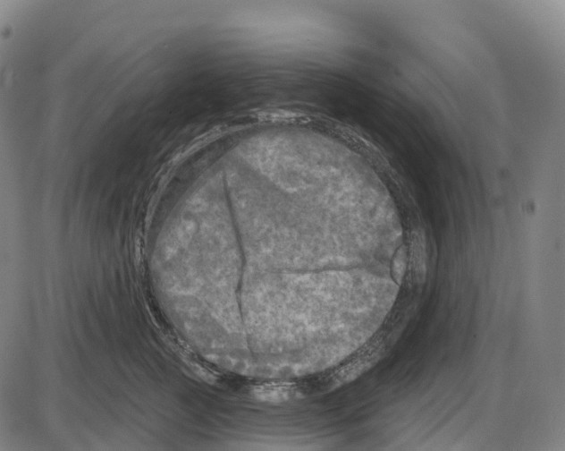 X0000083990761200703161622