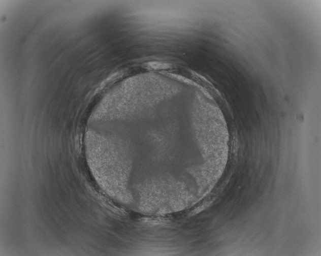 X0000083990763200703161622