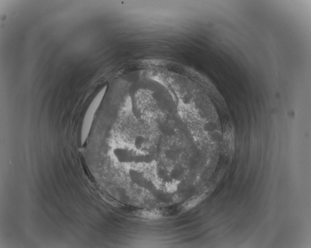 X0000083990765200703161622