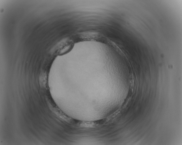 X0000083990767200703161623