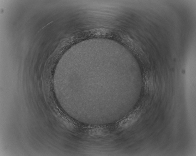 X0000083990769200703161622